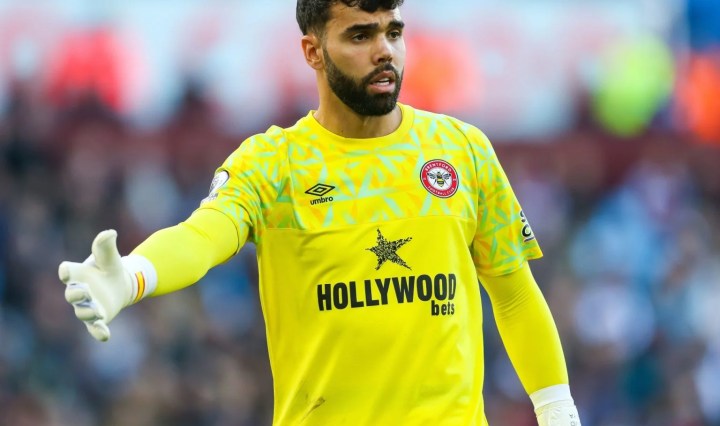 Arsenal's Raya tops Pickford for Premier League golden glove