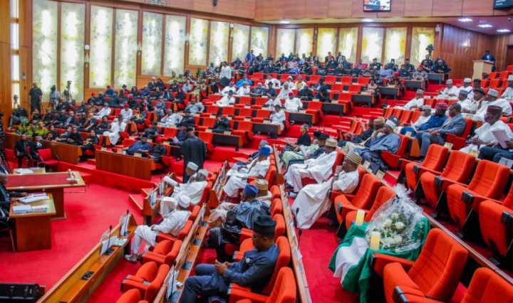 Senate withdraws motion to reopen Nigeria-Niger border