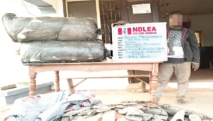NDLEA arrests two suspects for concealing cannabis in garri sack