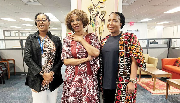 UN official praises Abia state governor's development efforts