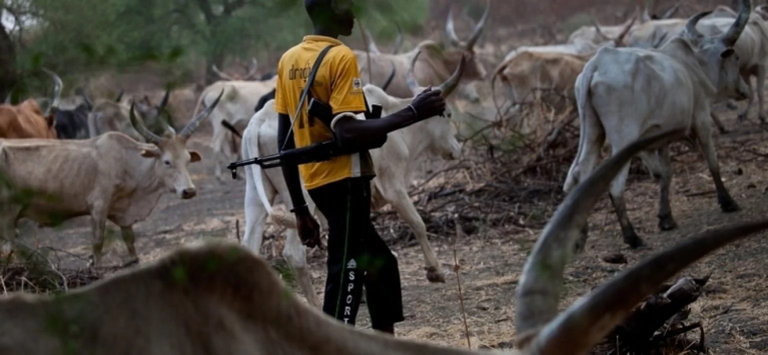 Suspected herdsmen attack leaves scores dead in Kogi community