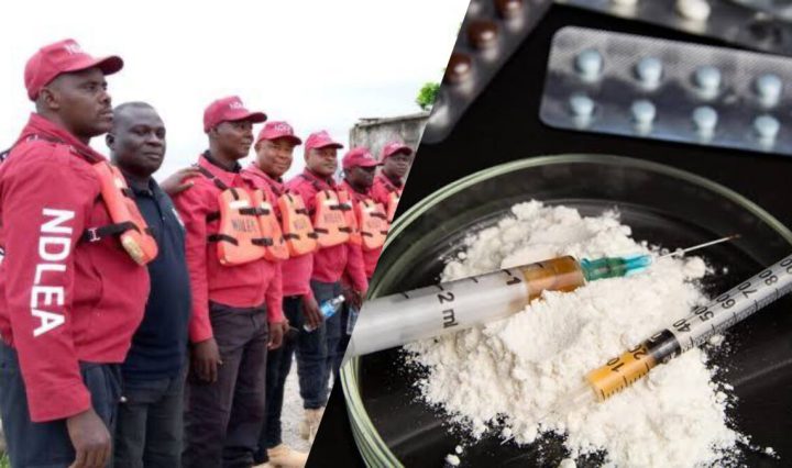 NDLEA pledges crackdown on illicit drugs in FCT