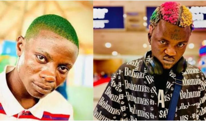 Portable sent his boys to beat me up - Young Duu (video)