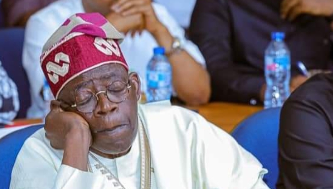 APC criticizes PDP governors' demand for Tinubu's resignation AGS NEWS