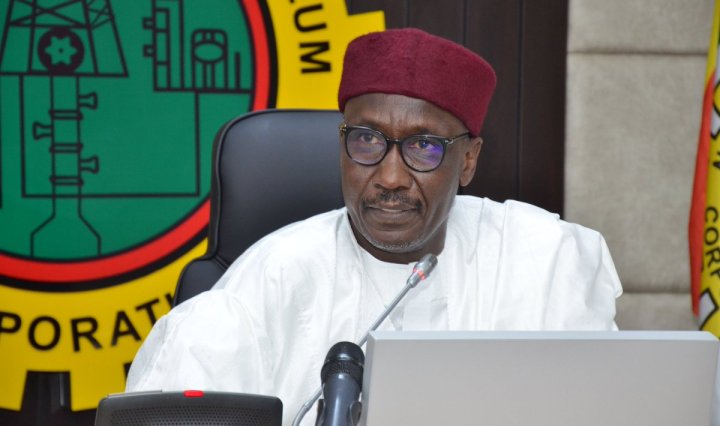 Kyari emphasizes need for collaboration among African countries to tackle energy transition challenges