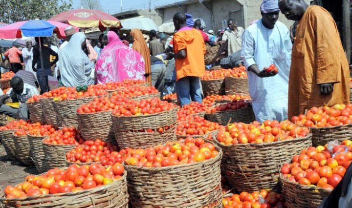 Businessman sentenced to six months imprisonment for defrauding tomato seller