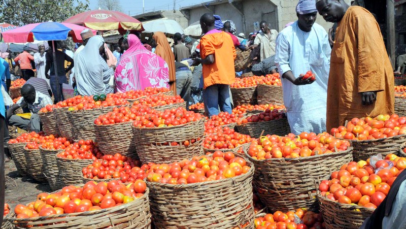 Businessman sentenced to six months imprisonment for defrauding tomato seller