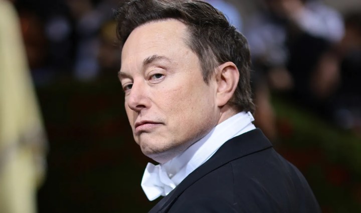 Elon Musk accused of using 'Burner Account' Adrian Dittmann to praise himself on X