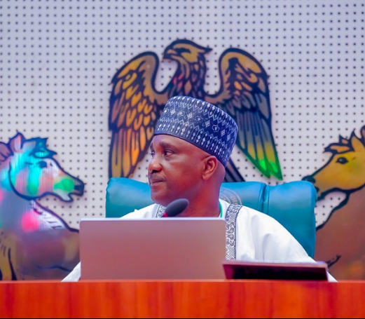 Nigerian government set plans to regulate AI