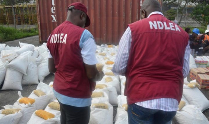 NDLEA's multi state operation results in seizure of 390kg of illicit drugs