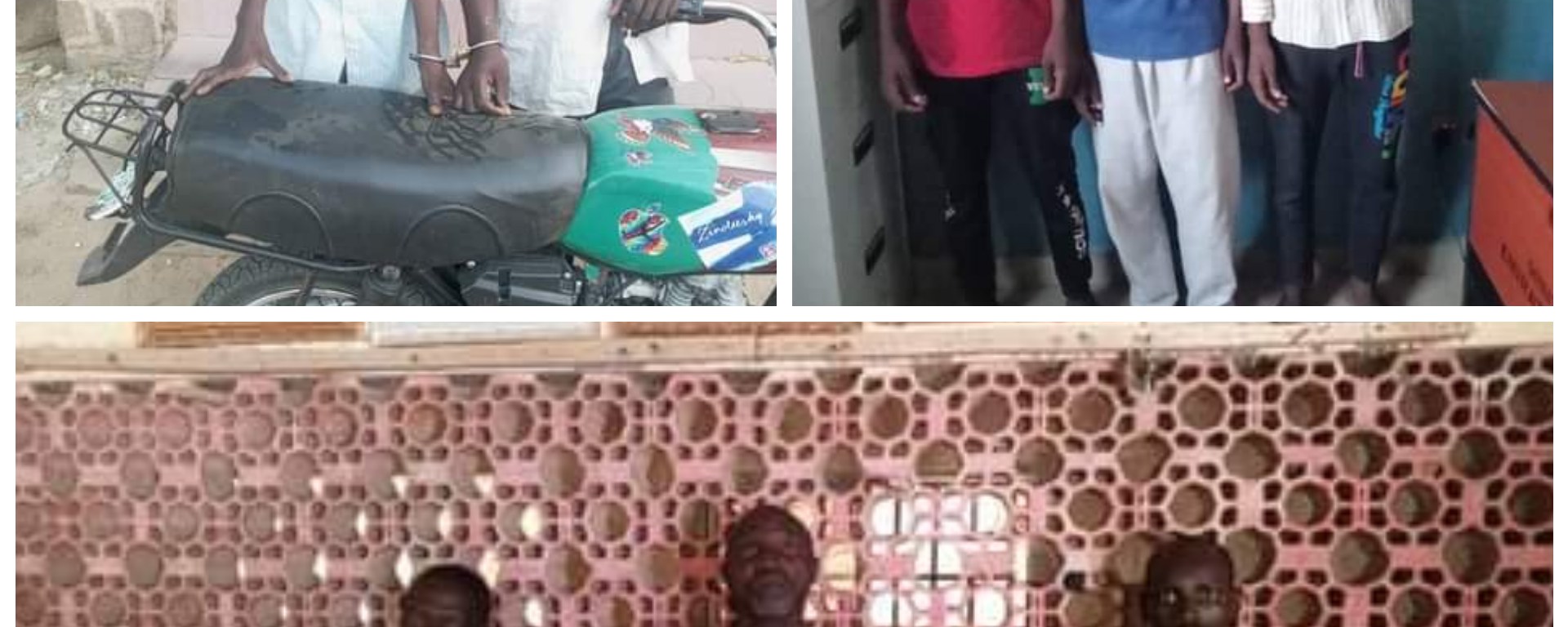 Police nab 16 suspected criminals for motorcycle theft, vandalism, phone snatching etc