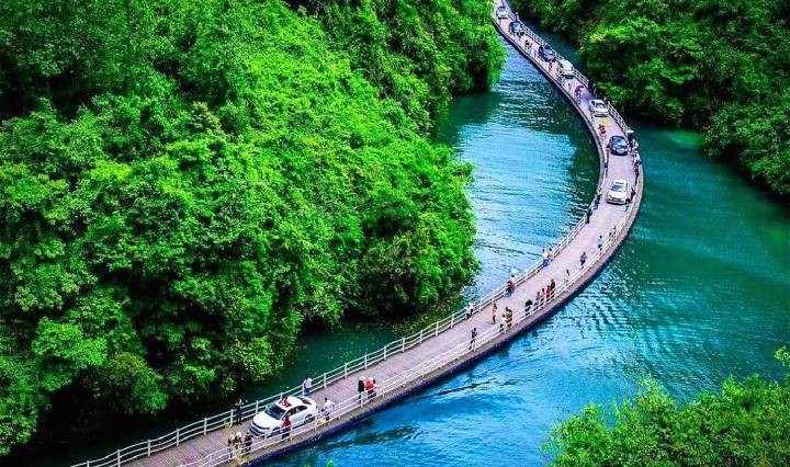 5 most unusual bridge structures