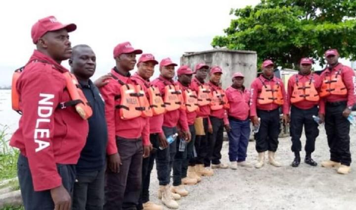 NDLEA achieves conviction of 1,445 drug traffickers within six months
