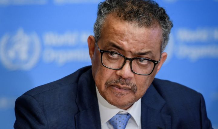 WHO reports 95% decline in COVID deaths in 2021