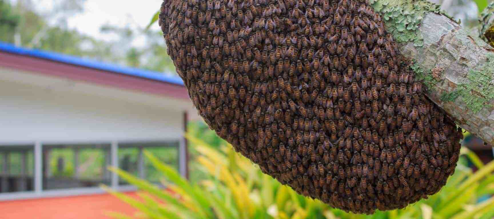 Fatal Bee attack claims lives of six passengers amidst road crash