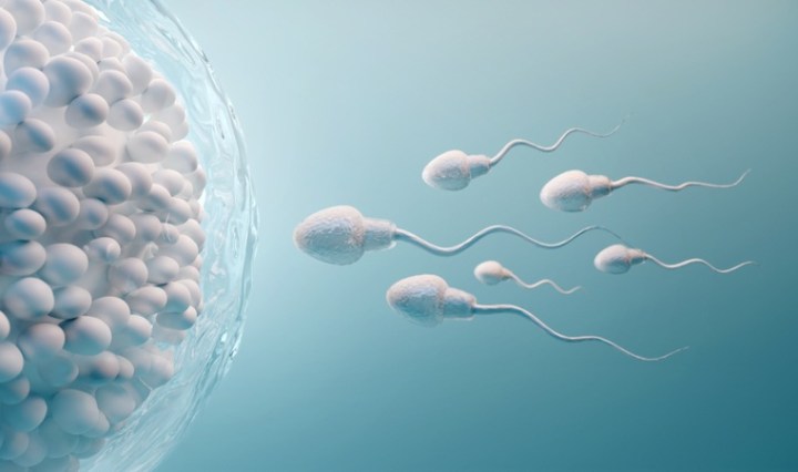Decline in sperm quality in Nigeria and South Africa raises concerns