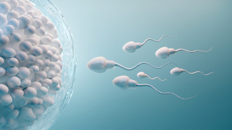 Decline in sperm quality in Nigeria and South Africa raises concerns
