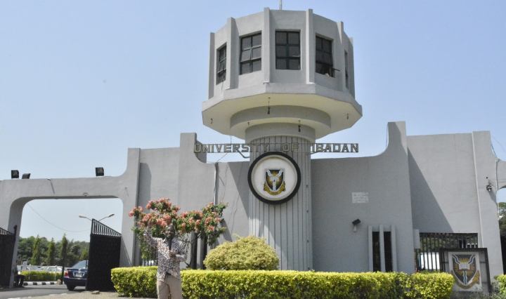 UI secures N1 billion for diaspora research centre establishment