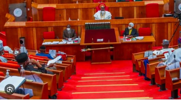 Senate calls on FG to declare state of emergency in substance abuse crisis