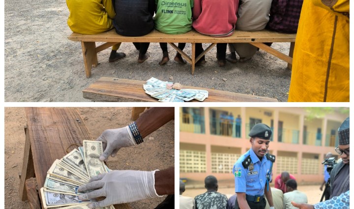 Police in Gombe nab 12 suspects in crackdown on fake dollar syndicate
