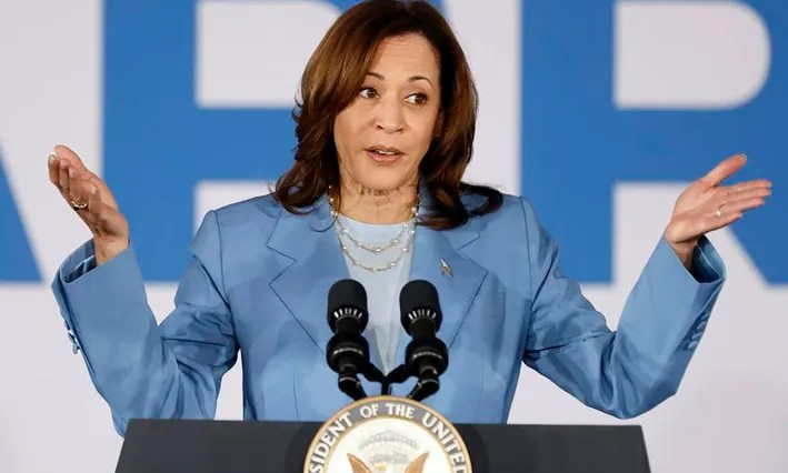 New poll reveals what Democrats really think of Kamala Harris being US president