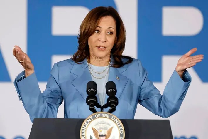 New poll reveals what Democrats really think of Kamala Harris being US president
