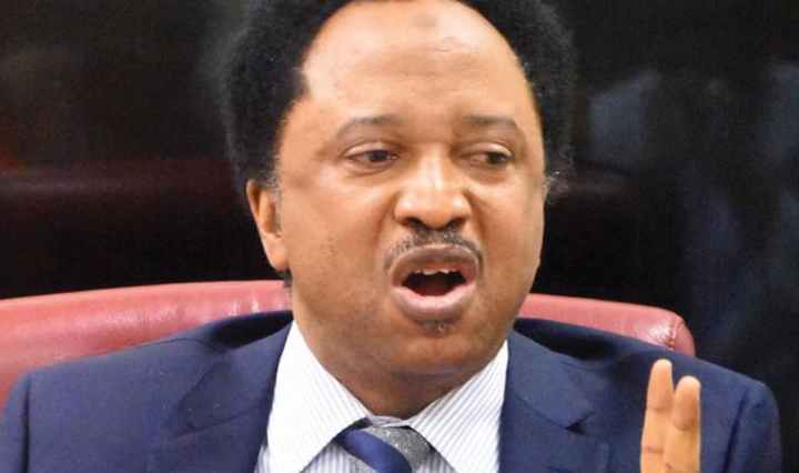 Preserve democracy and shun violence - Shehu Sani urges Nigerians