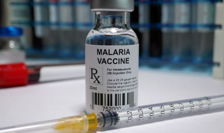 WHO approves second malaria vaccine for children