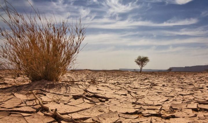 Nigeria faces $100 billion annual loss due to climate change