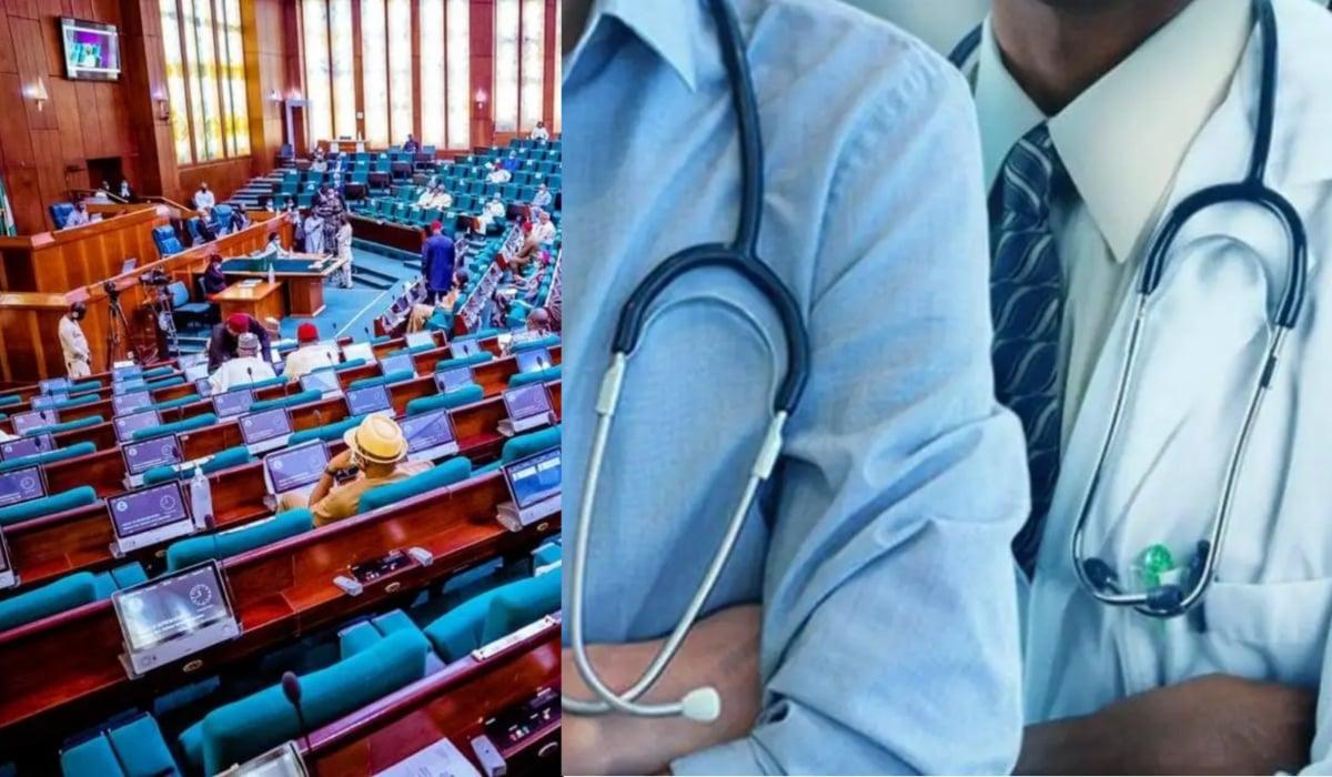 Nigerian doctors in diaspora submit petition to National Assembly in regards to anti-migration bill