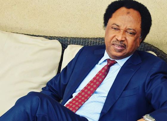 Senator Shehu Sani shares account of surviving assassination attempt during El-Rufai's tenure