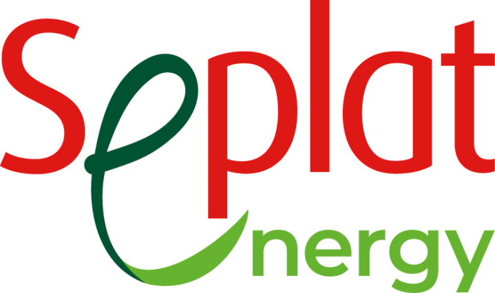Seplat energy reports 10.21% growth in gas revenue