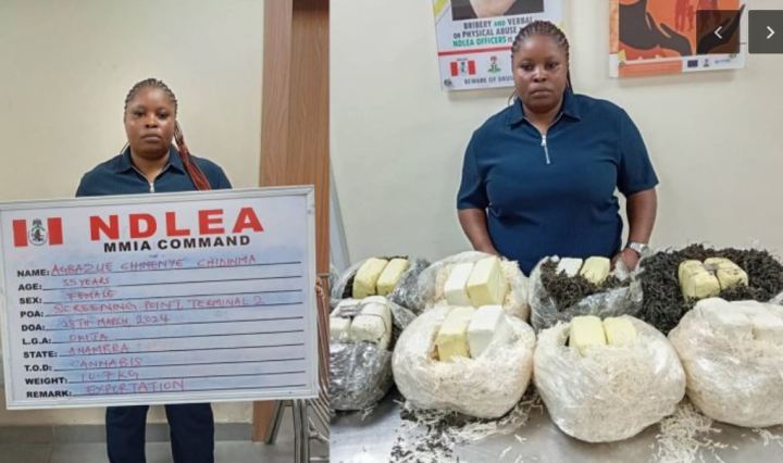 NDLEA intercepts attempt to smuggle drugs to Qatar, declines N5m bribe