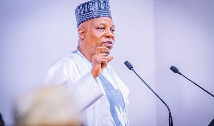 We will overcome all challenges - Shettima