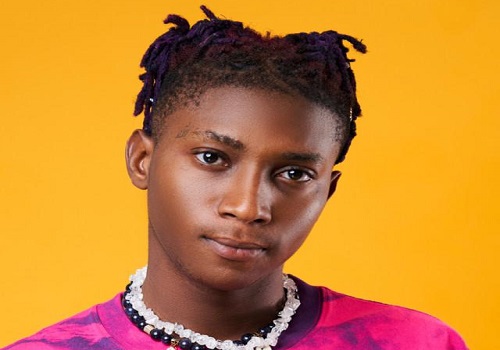 Bella Shmurda reveals why he stopped working at Dangote's factory (video)