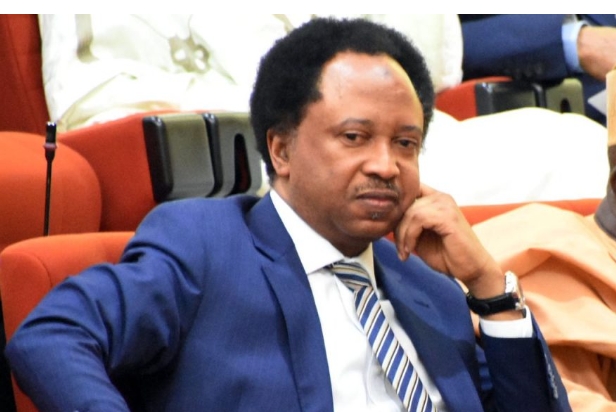 Shehu Sani aupports Shettima's right to seek multiple office at the same time