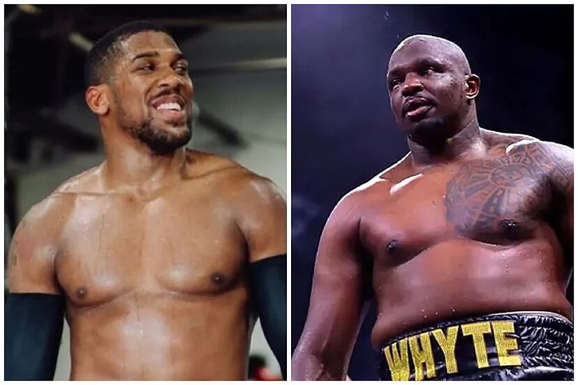 Anthony Joshua confident he'll beat Dillian Whyte