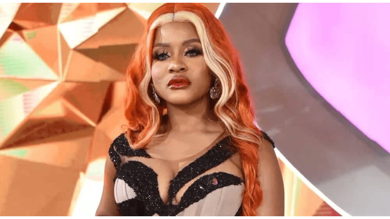 I lost 17 deals because of recent controversies – Phyna