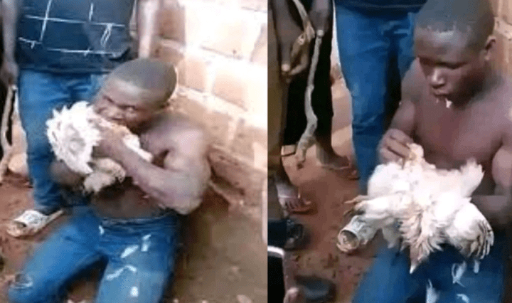 Thief forced to eat raw chicken as punishment