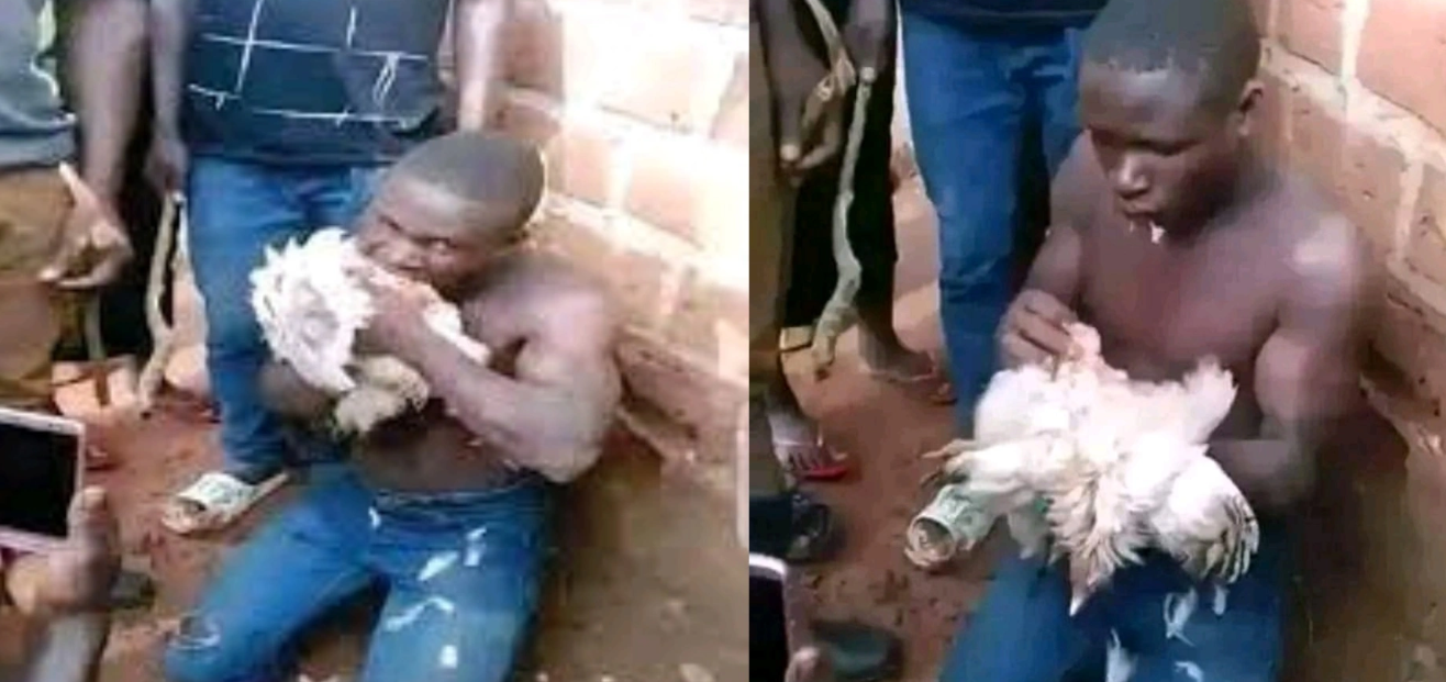 Thief forced to eat raw chicken as punishment
