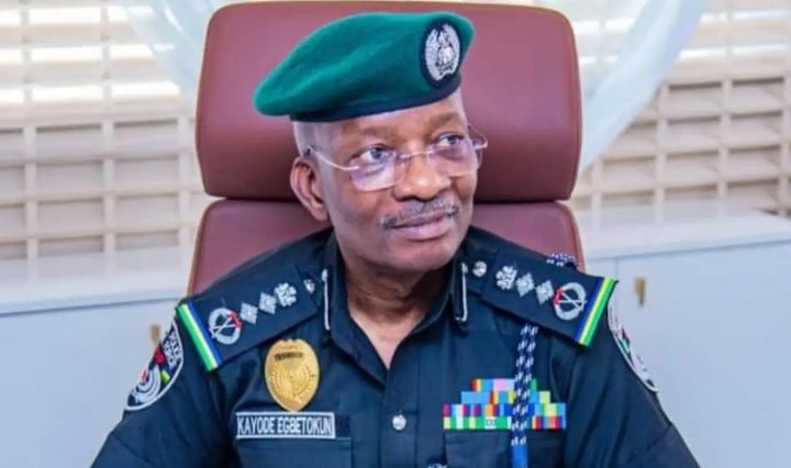 We’ll respond to planned protest professionally- IGP says