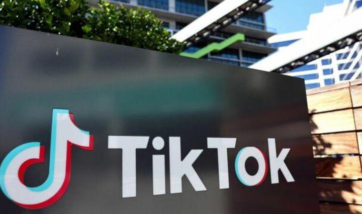 TikTok's e-commerce venture proves lucrative in southeast Asia