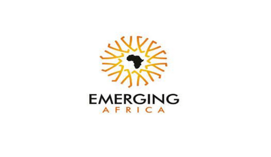 Emerging Africa Group leads N40bn NEN infrastructure private bond ssuance