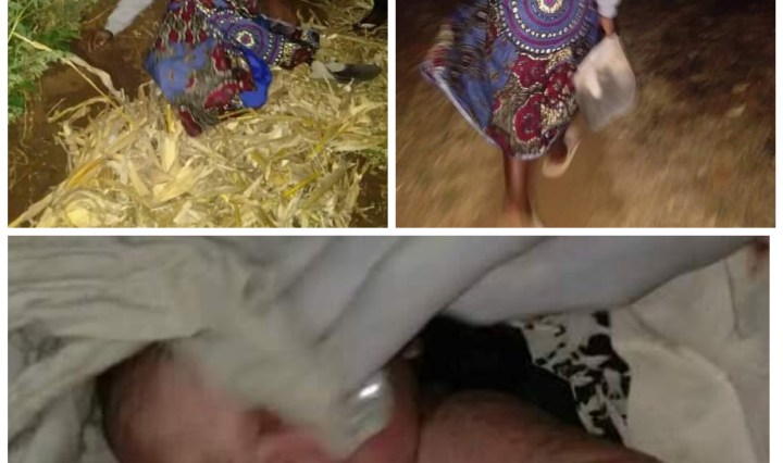 Police rescue newborn baby buried alive by 21-year old mother