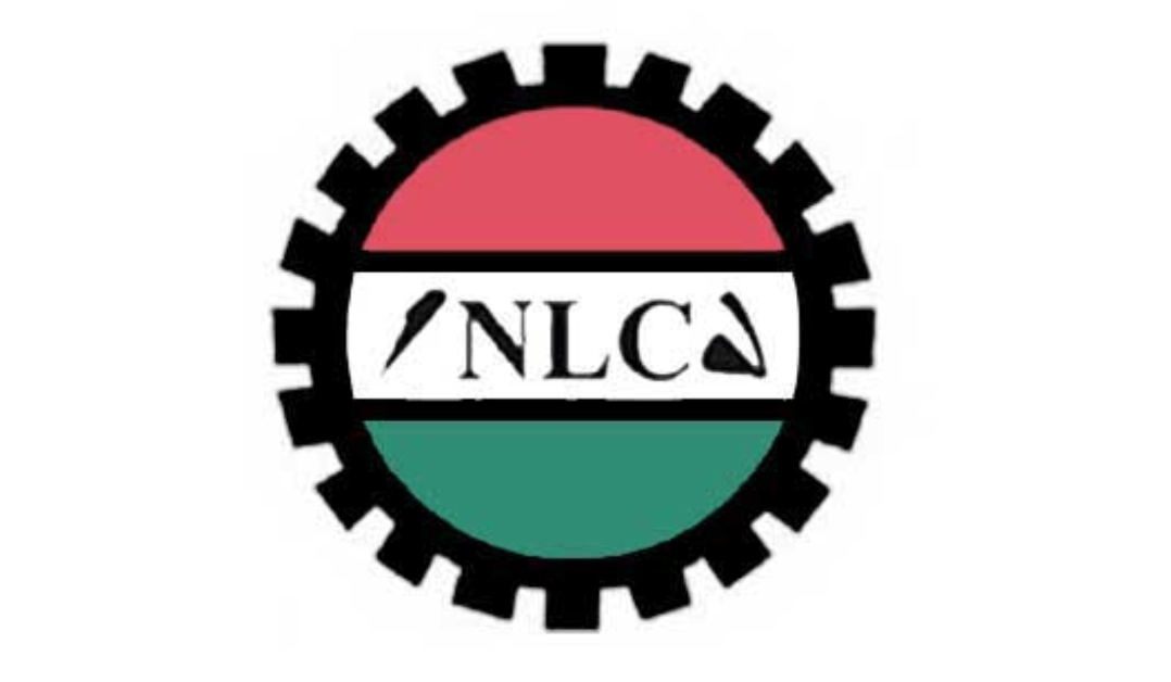 Minimum wage negotiations scheduled for last quarter of 2023 - NLC