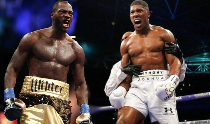 Anthony Joshua vs Deontay Wilder fight up close