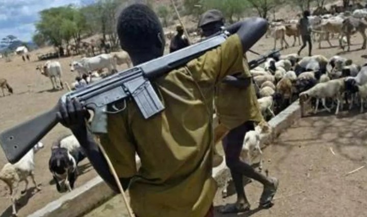 Suspected herdsmen kill three farmers in Benue village
