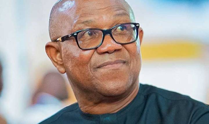 2027 presidency: Support Tinubu’s reelection – Factional Ohanaeze begs Peter Obi
